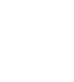 Party Genie hallmark logo white